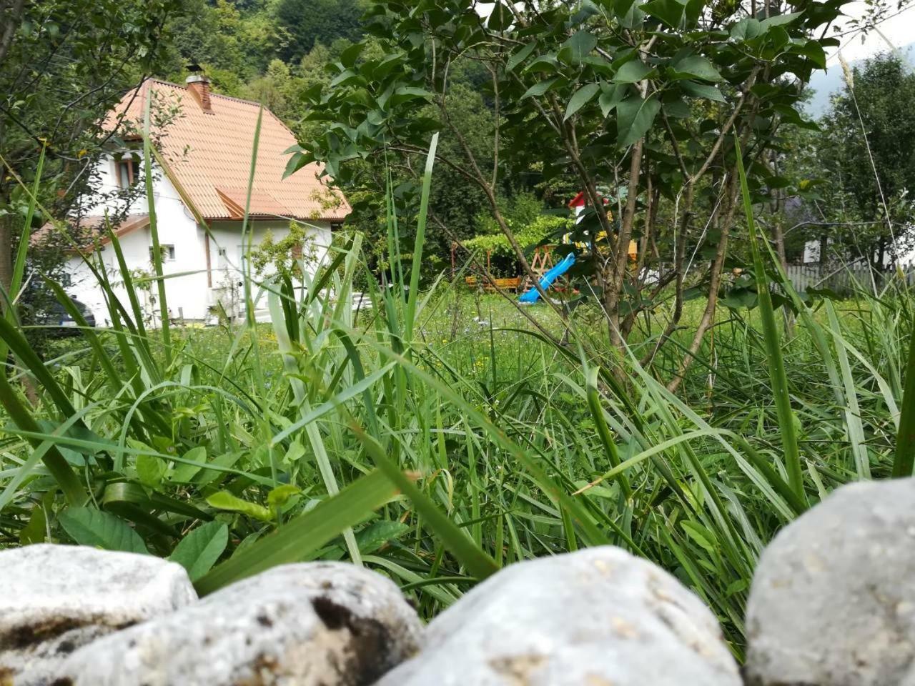 Cottage Forest Stream Visoko Dış mekan fotoğraf