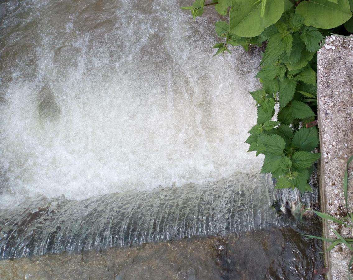 Cottage Forest Stream Visoko Dış mekan fotoğraf